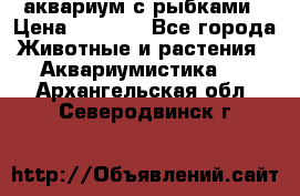 аквариум с рыбками › Цена ­ 1 000 - Все города Животные и растения » Аквариумистика   . Архангельская обл.,Северодвинск г.